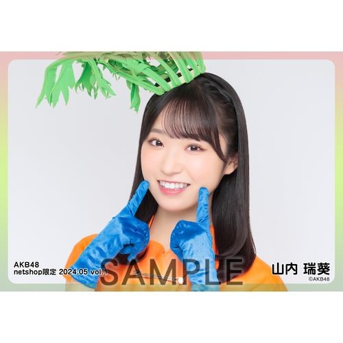 予約商品】AKB48 2024年5月度 net shop限定個別生写真5枚セットvol.1