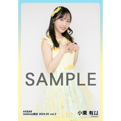 予約商品】AKB48 2024年5月度 net shop限定個別生写真5枚セットvol.2