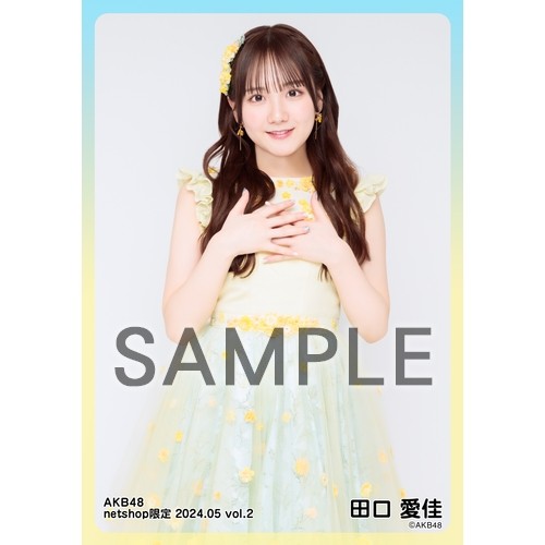 予約商品】AKB48 2024年5月度 net shop限定個別生写真5枚セットvol.2