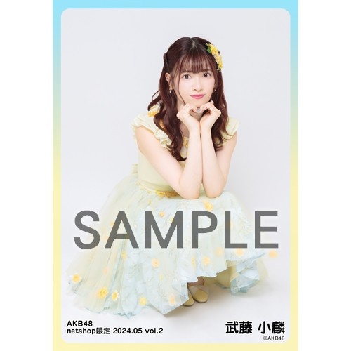 予約商品】AKB48 2024年5月度 net shop限定個別生写真5枚セットvol.2