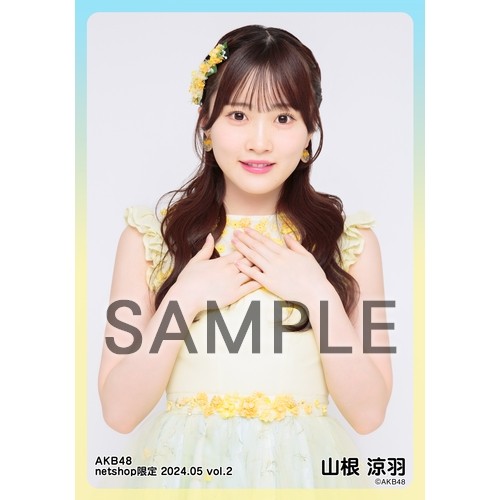予約商品】AKB48 2024年5月度 net shop限定個別生写真5枚セットvol.2 