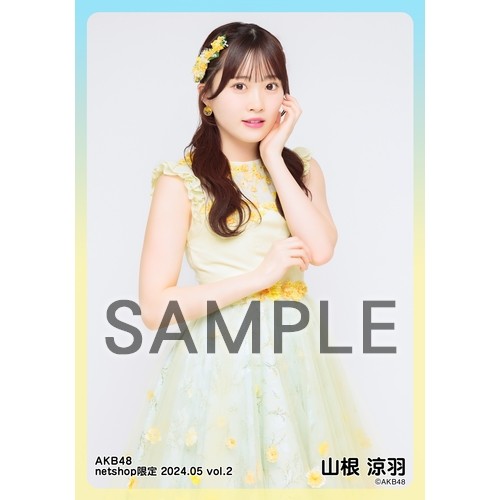 予約商品】AKB48 2024年5月度 net shop限定個別生写真5枚セットvol.2 
