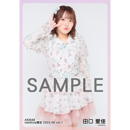 予約商品】AKB48 2024年6月度 net shop限定個別生写真5枚セットvol.1
