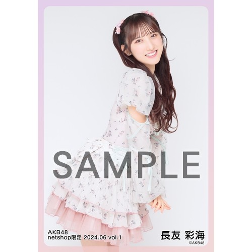 プレメモ AKB0048 28枚セット まとめ売り ヤマノススメ Next Summit 原画クリアファイルセット | グッズ