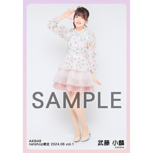 予約商品】AKB48 2024年6月度 net shop限定個別生写真5枚セットvol.1