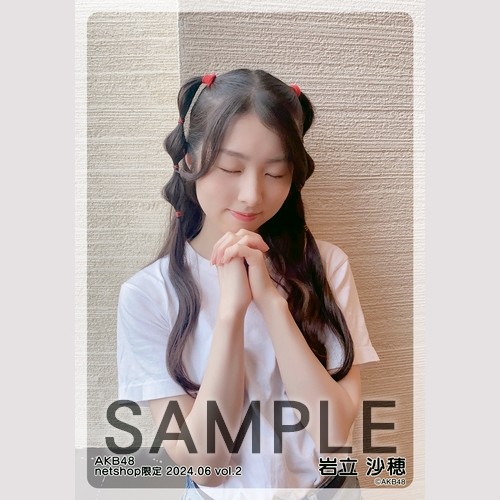 AKB48 岩立沙穂 トレ netshop 生写真 48枚 2016～17年 AKB48 岩立沙穂 トレ netshop 生写真 48枚 2016～17年 AKB48