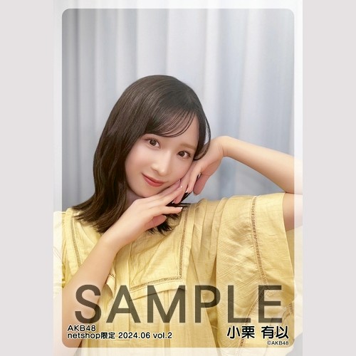予約商品】AKB48 2024年6月度 net shop限定個別生写真5枚セットvol.2