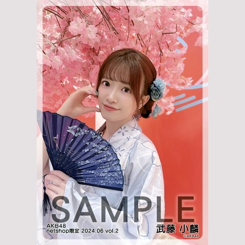 AKB48 生写真 まとめ  セット AKB48 2024年6月度 net shop限定個別生写真5枚セットvol.2