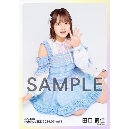 専用出品です。す様ご注文分　田口愛佳他 専用出品です。す様ご注文分 田口愛佳他 田口様 専用 専用出品です。す