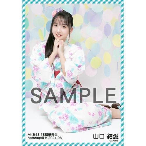 AKB48 第一党 感謝祭 2016 net shop 生写真 バラ 研究生 8 AKB48 第一党 感謝祭 2016 net shop 生写真 バラ 研究生 8