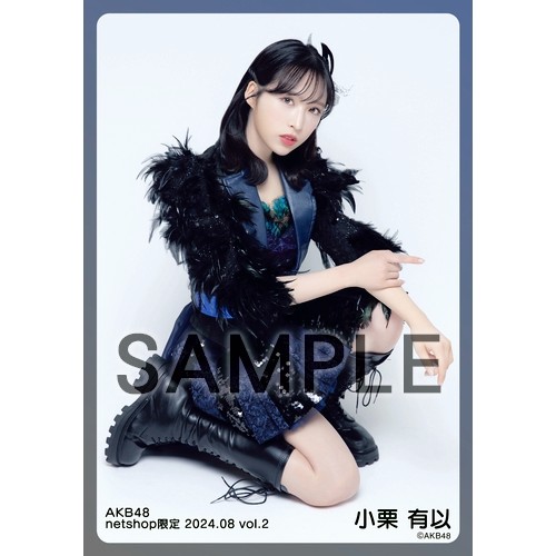 予約商品】AKB48 2025年5月度 net shop限定個別生写真5枚セット