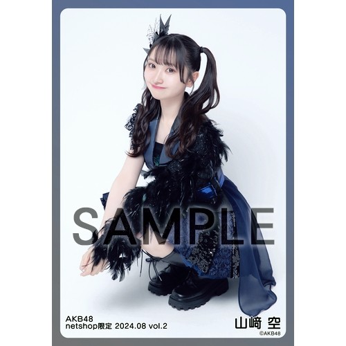 予約商品】AKB48 2024年8月度 net shop限定個別生写真5枚セットvol.2