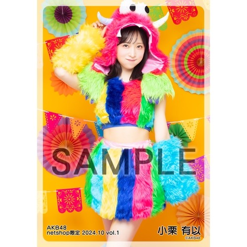 予約商品】AKB48 2024年10月度 net shop限定個別生写真5枚セットvol.1