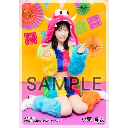 予約商品】AKB48 2024年10月度 net shop限定個別生写真5枚セットvol.1
