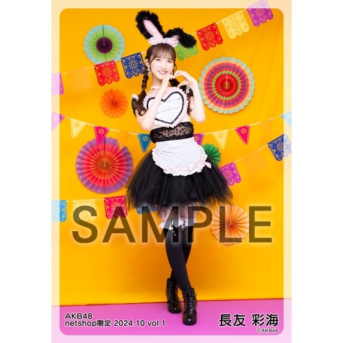 予約商品】AKB48 2024年10月度 net shop限定個別生写真5枚セットvol.1