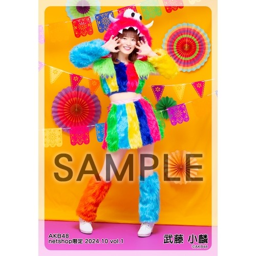 予約商品】AKB48 2024年10月度 net shop限定個別生写真5枚セットvol.1