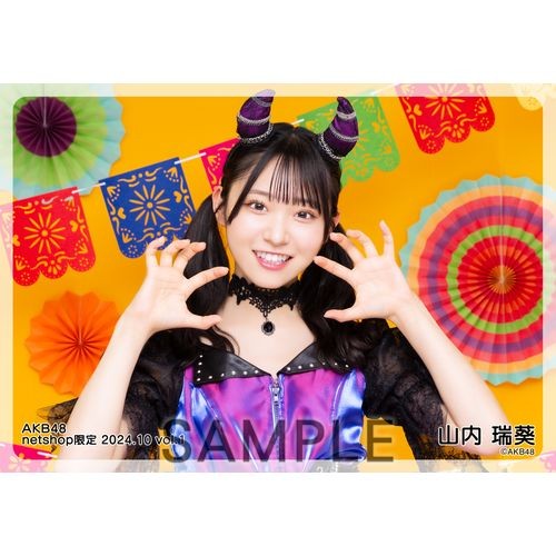 AKB グループ 生写真 (1枚400円) ⑩