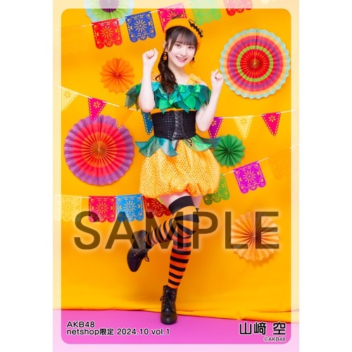 予約商品】AKB48 2024年10月度 net shop限定個別生写真5枚セットvol.1