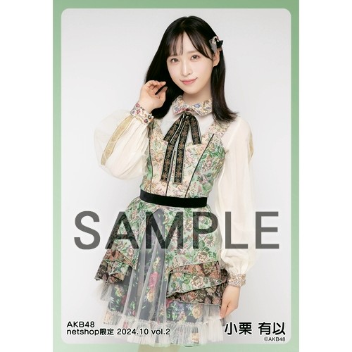 予約商品】AKB48 2024年10月度 net shop限定個別生写真5枚セットvol.2