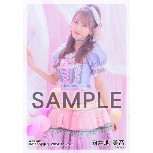予約商品】AKB48 2024年11月度 net shop限定個別生写真5枚セットvol.1