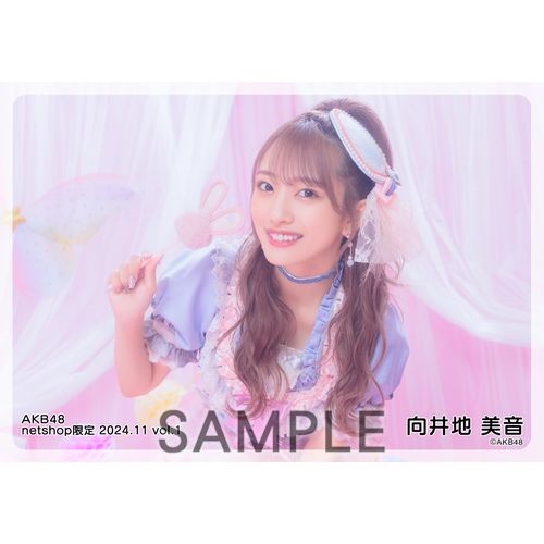予約商品】AKB48 2024年11月度 net shop限定個別生写真5枚セットvol.1
