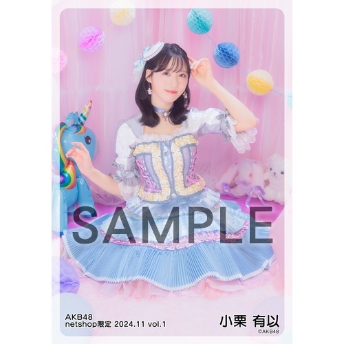 予約商品】AKB48 2024年11月度 net shop限定個別生写真5枚セットvol.1