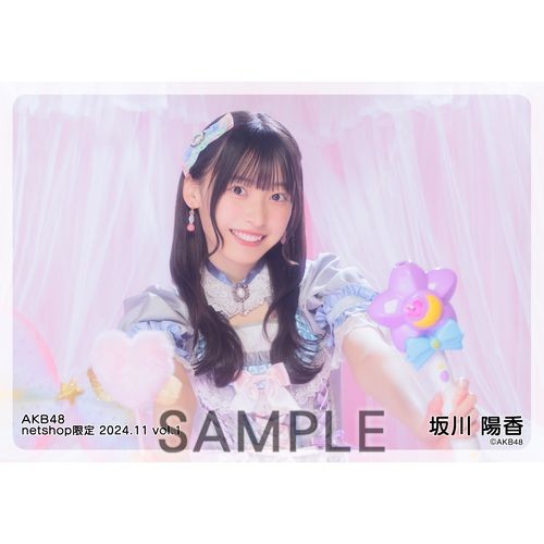 予約商品】AKB48 2024年11月度 net shop限定個別生写真5枚セットvol.1
