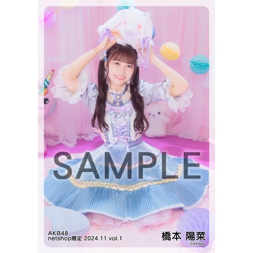 予約商品】AKB48 2024年11月度 net shop限定個別生写真5枚セットvol.1