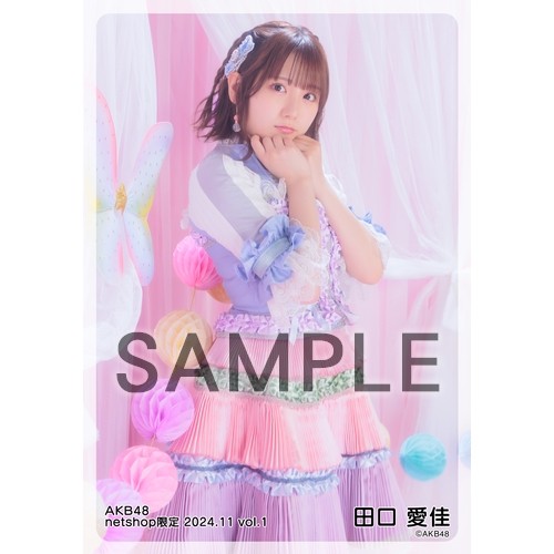 予約商品】AKB48 2024年11月度 net shop限定個別生写真5枚セットvol.1