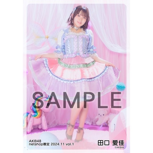予約商品】AKB48 2024年11月度 net shop限定個別生写真5枚セットvol.1