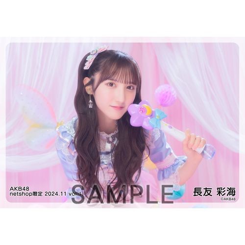 予約商品】AKB48 2024年11月度 net shop限定個別生写真5枚セットvol.1