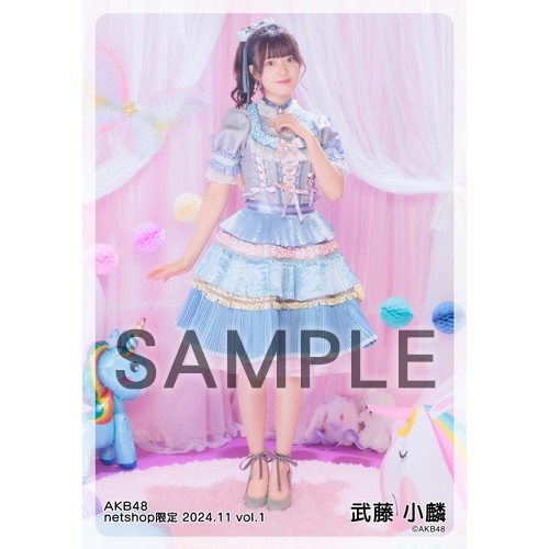 予約商品】AKB48 2024年11月度 net shop限定個別生写真5枚セット