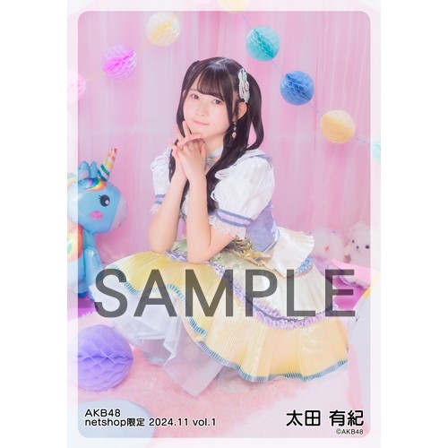 予約商品】AKB48 2024年11月度 net shop限定個別生写真5枚セットvol.1