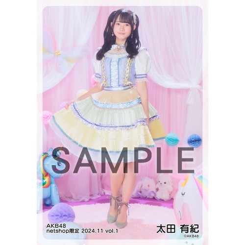 予約商品】AKB48 2024年11月度 net shop限定個別生写真5枚セット