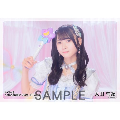 予約商品】AKB48 2024年11月度 net shop限定個別生写真5枚セット
