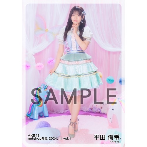 予約商品】AKB48 2024年11月度 net shop限定個別生写真5枚セットvol.1