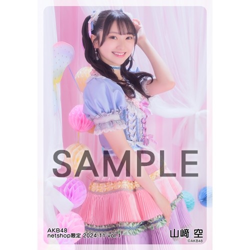予約商品】AKB48 2024年11月度 net shop限定個別生写真5枚セットvol.1