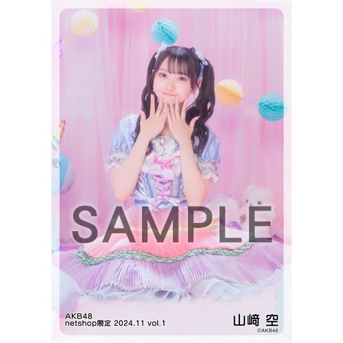 予約商品】AKB48 2024年11月度 net shop限定個別生写真5枚セットvol.1