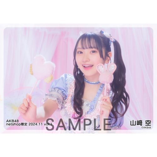 予約商品】AKB48 2024年11月度 net shop限定個別生写真5枚セットvol.1
