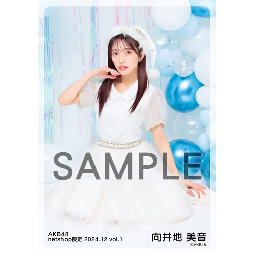 予約商品】AKB48 2024年12月度 net shop限定個別生写真5枚セットvol.1