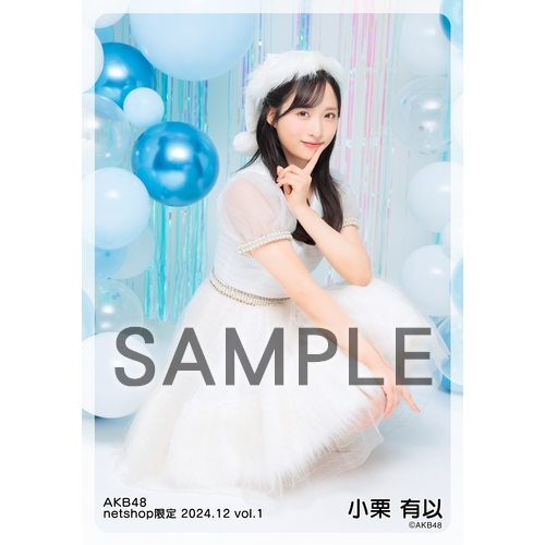 予約商品】AKB48 2024年12月度 net shop限定個別生写真5枚セットvol.1