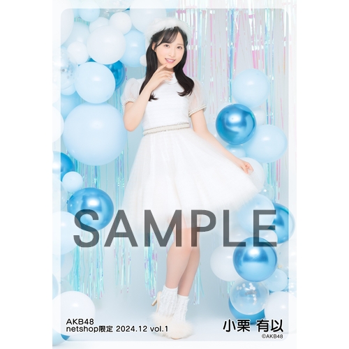 予約商品】AKB48 2024年12月度 net shop限定個別生写真5枚セットvol.1
