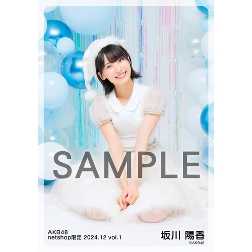 予約商品】AKB48 2024年12月度 net shop限定個別生写真5枚セットvol.1
