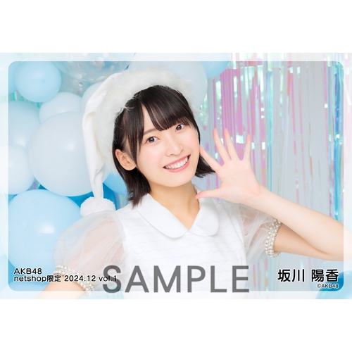 専用出品です。坂川陽香 生写真 AK-003-2407-85523_p02_500.jpg