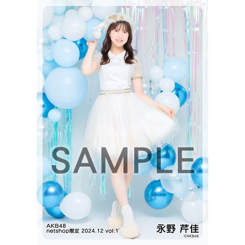 予約商品】AKB48 2024年12月度 net shop限定個別生写真5枚セットvol.1