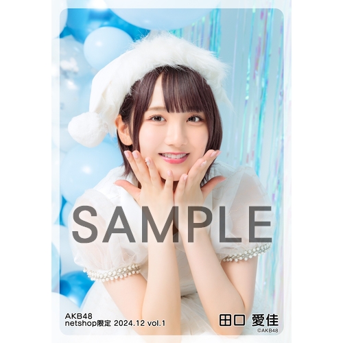 予約商品】AKB48 2024年12月度 net shop限定個別生写真5枚セットvol.1