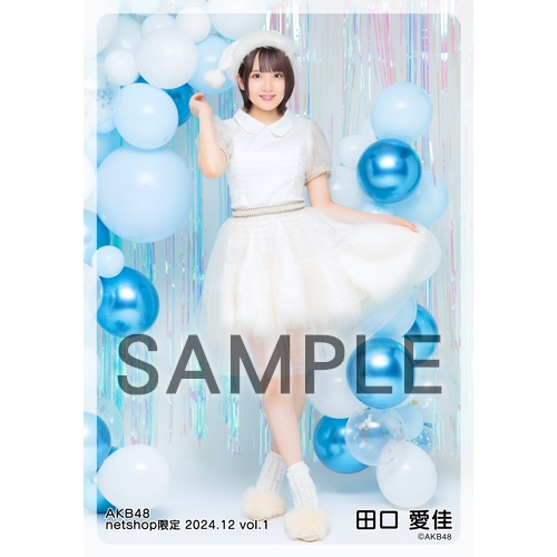 予約商品】AKB48 2024年12月度 net shop限定個別生写真5枚セットvol.1