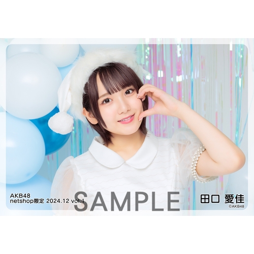 予約商品】AKB48 2024年12月度 net shop限定個別生写真5枚セットvol.1