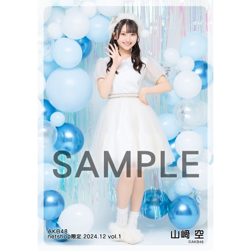 予約商品】AKB48 2024年12月度 net shop限定個別生写真5枚セットvol.1
