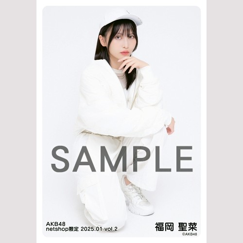 予約商品】AKB48 2025年1月度 net shop限定個別生写真5枚セットvol.2